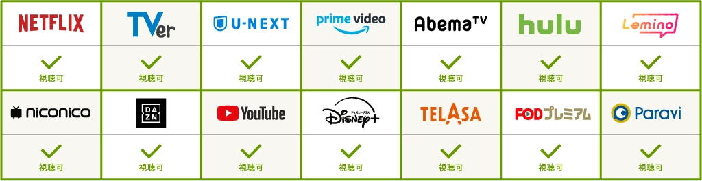 スイカVPNの動画視聴対応状況